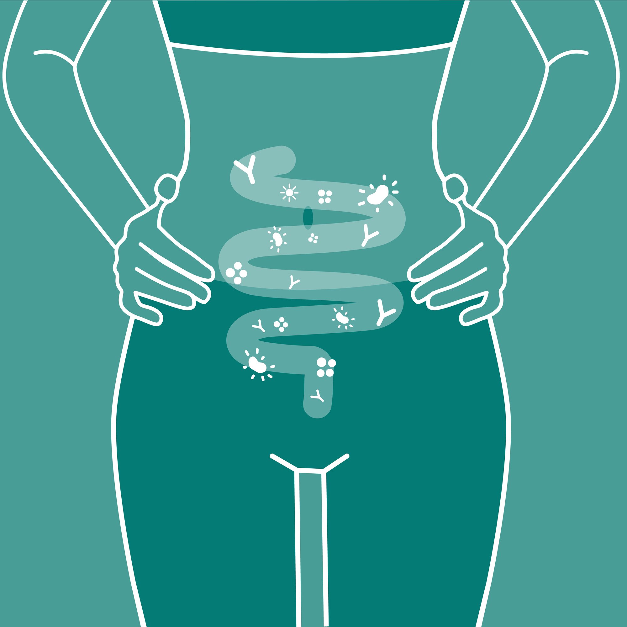 intestino_flora