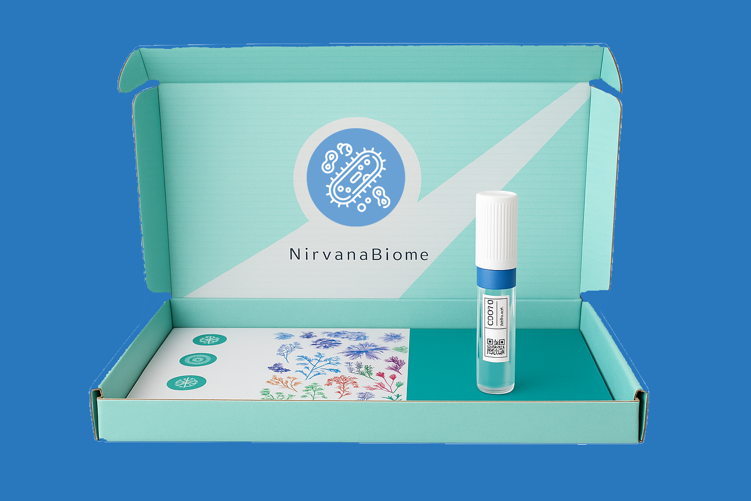 nb gut box