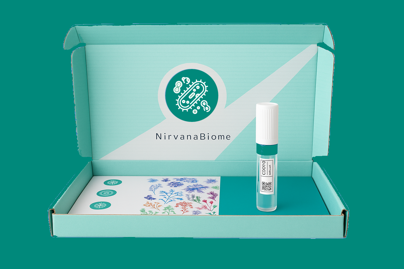 nb gut box2