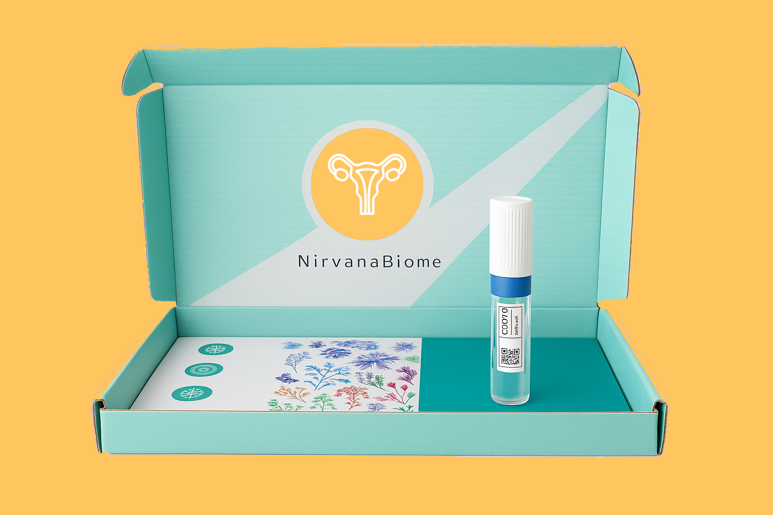 vaginal box2